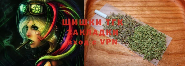 индика Медвежьегорск