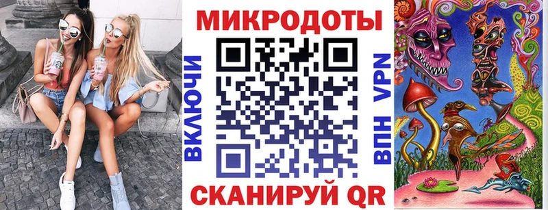 Псилоцибиновые грибы Psilocybe  Киселёвск 